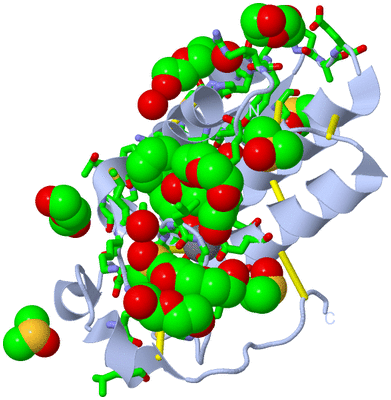 Image Biol. Unit 1 - sites