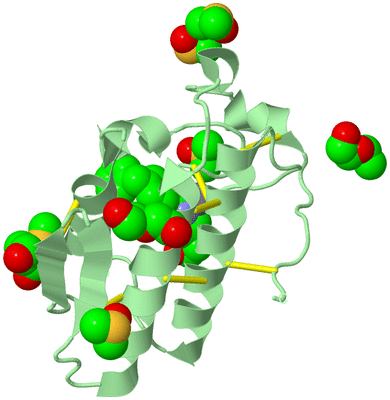 Image Biological Unit 2