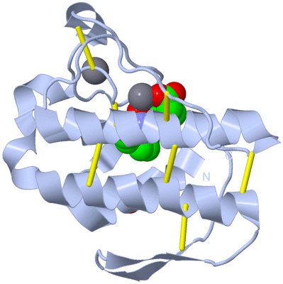 Image Biological Unit 1