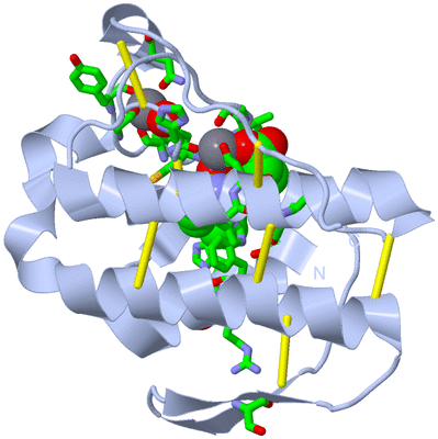 Image Biol. Unit 1 - sites