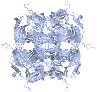 Image Biological Unit 1