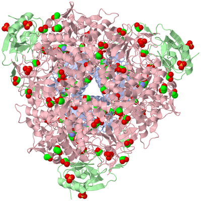 Image Biological Unit 1