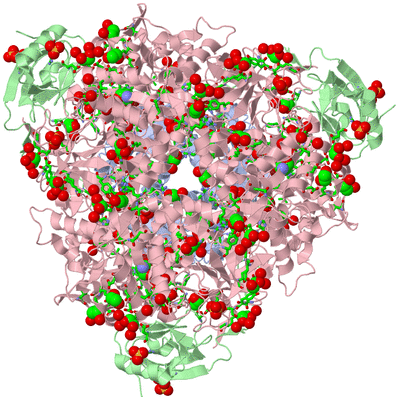 Image Biol. Unit 1 - sites