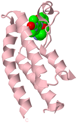 Image Biological Unit 3