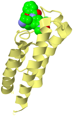 Image Biological Unit 4