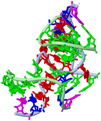 Image Biological Unit 1