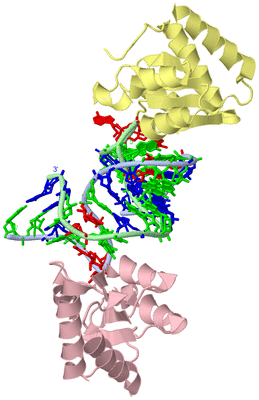 Image Biological Unit 1