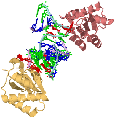 Image Biological Unit 2