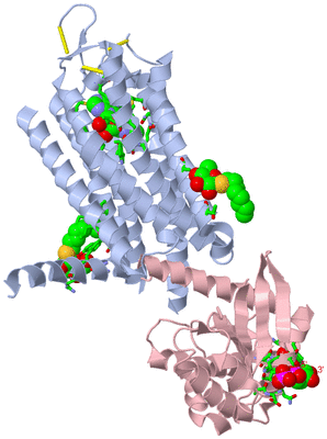 Image Biol. Unit 1 - sites