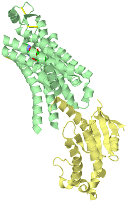 Image Biological Unit 2