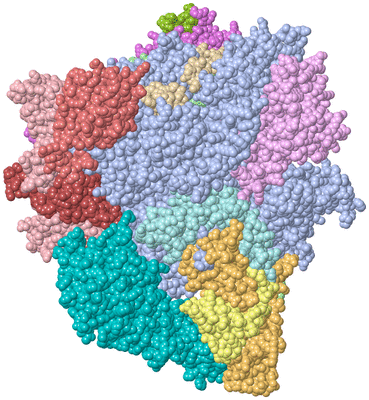 Image Asym./Biol. Unit