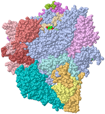 Image Asym./Biol. Unit - sites