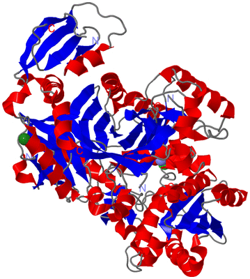 Image Asym./Biol. Unit