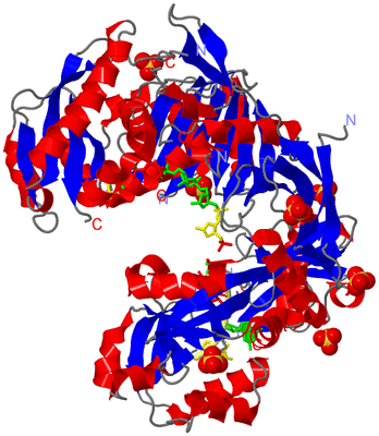 Image Asym./Biol. Unit