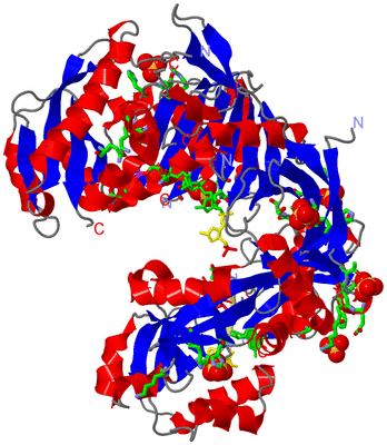 Image Asym./Biol. Unit - sites