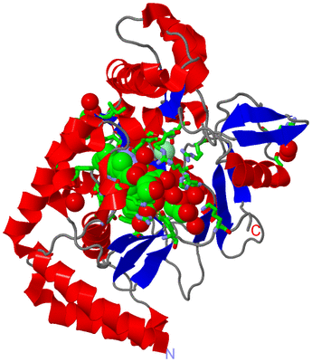 Image Asym. Unit - sites