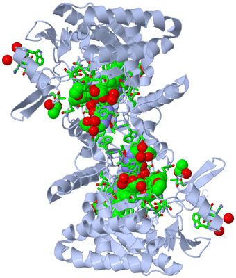 Image Biol. Unit 1 - sites