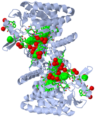 Image Biol. Unit 1 - sites