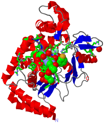 Image Asym. Unit - sites