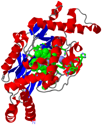 Image Asym. Unit - sites