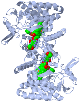 Image Biological Unit 1