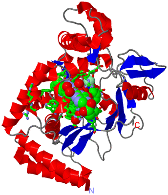 Image Asym. Unit - sites