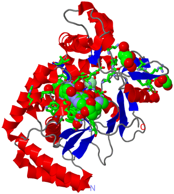 Image Asym. Unit - sites