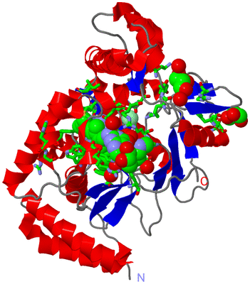 Image Asym. Unit - sites