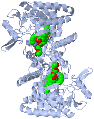 Image Biological Unit 1