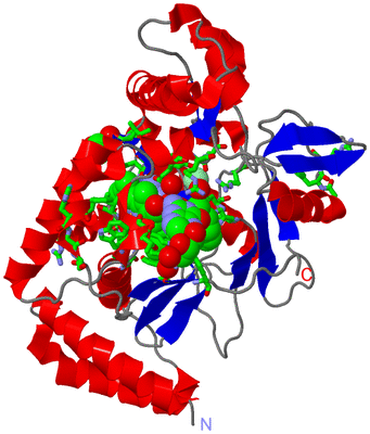 Image Asym. Unit - sites