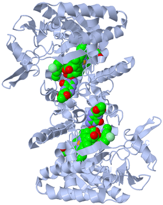 Image Biological Unit 1