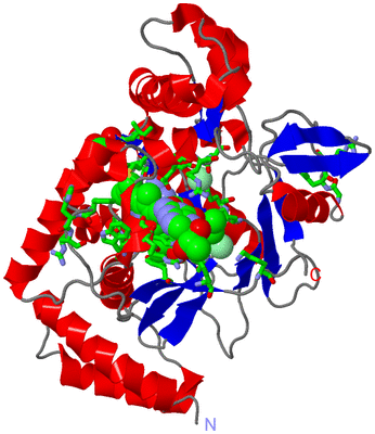 Image Asym. Unit - sites