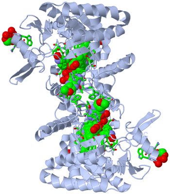 Image Biol. Unit 1 - sites