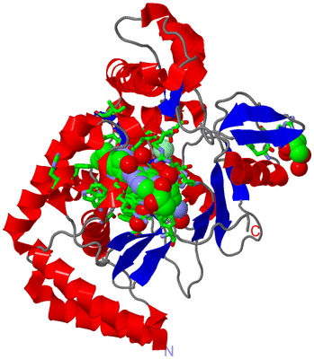 Image Asym. Unit - sites