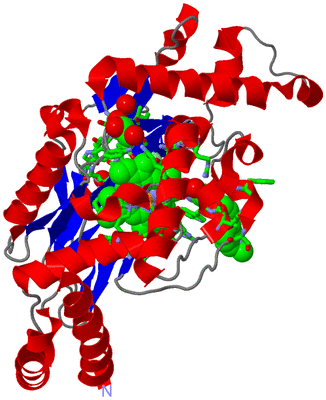 Image Asym. Unit - sites