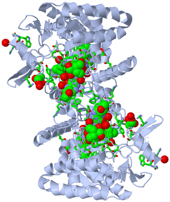 Image Biol. Unit 1 - sites