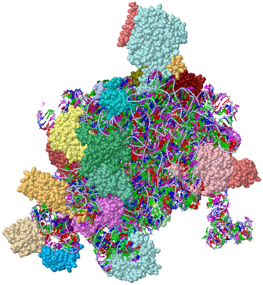 Image Asym./Biol. Unit