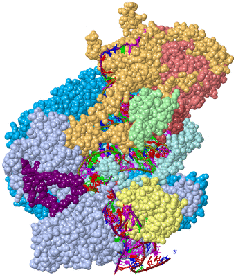 Image Asym./Biol. Unit