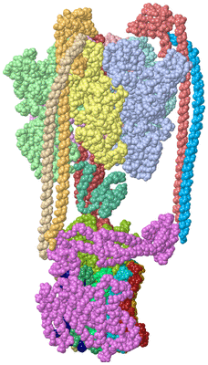 Image Asym./Biol. Unit