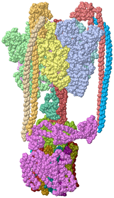 Image Asym./Biol. Unit