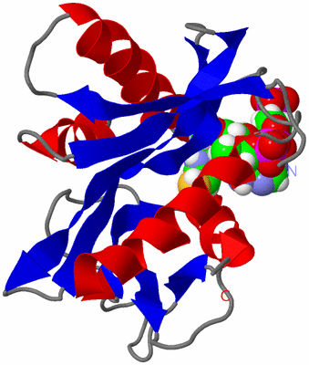 Image NMR Structure - model 1