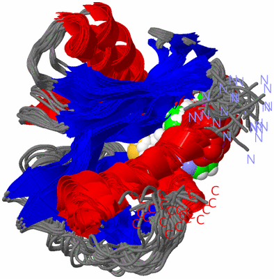 Image NMR Structure - all models