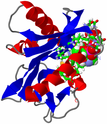 Image NMR Structure - model 1, sites