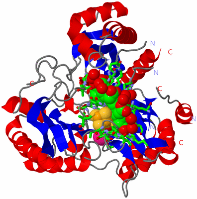 Image Asym./Biol. Unit - sites