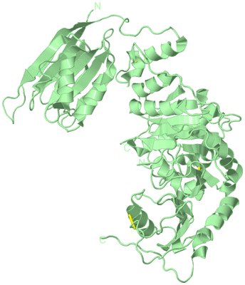 Image Biological Unit 2