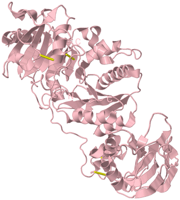 Image Biological Unit 3