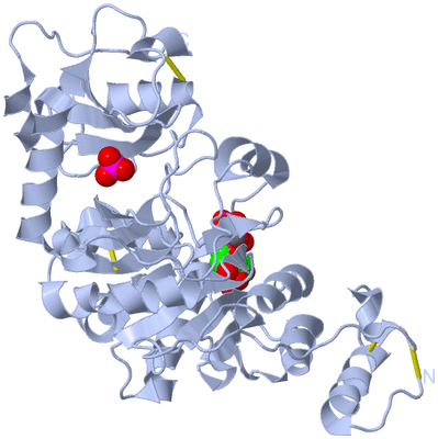 Image Biological Unit 1