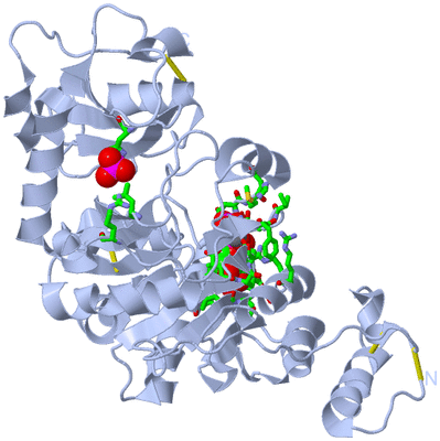 Image Biol. Unit 1 - sites