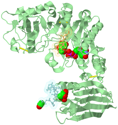 Image Biological Unit 2