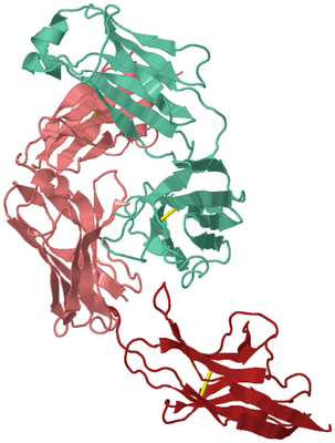 Image Biological Unit 2